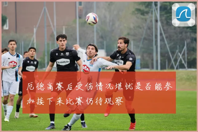 厄德高赛后受伤情况堪忧是否能参加接下来比赛仍待观察