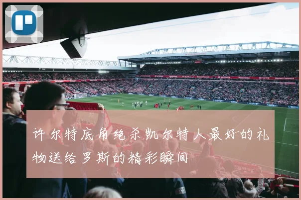 许尔特底角绝杀凯尔特人最好的礼物送给罗斯的精彩瞬间