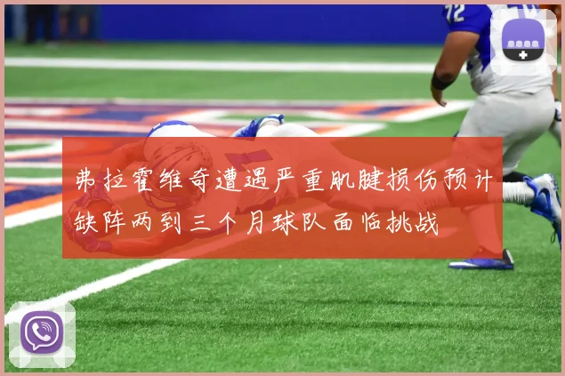 弗拉霍维奇遭遇严重肌腱损伤预计缺阵两到三个月球队面临挑战