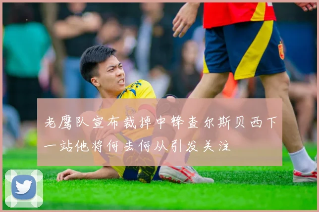 老鹰队宣布裁掉中锋查尔斯贝西下一站他将何去何从引发关注