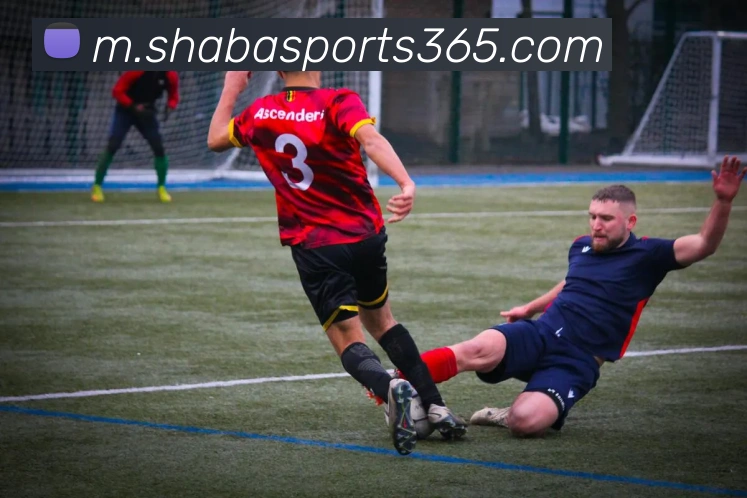 沙巴体育APP 封面图